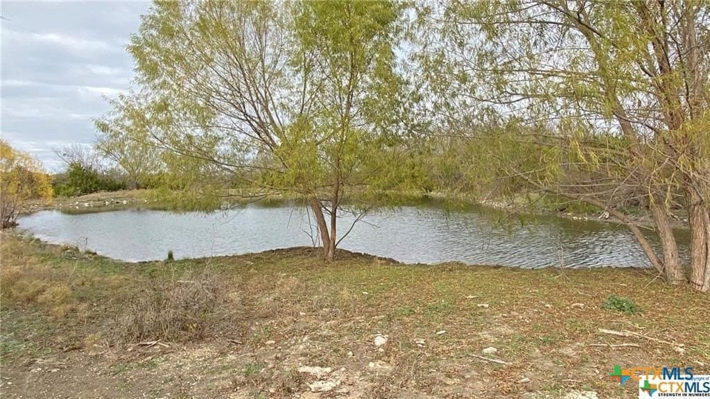 123.19 acres in Coryell County - photo 2