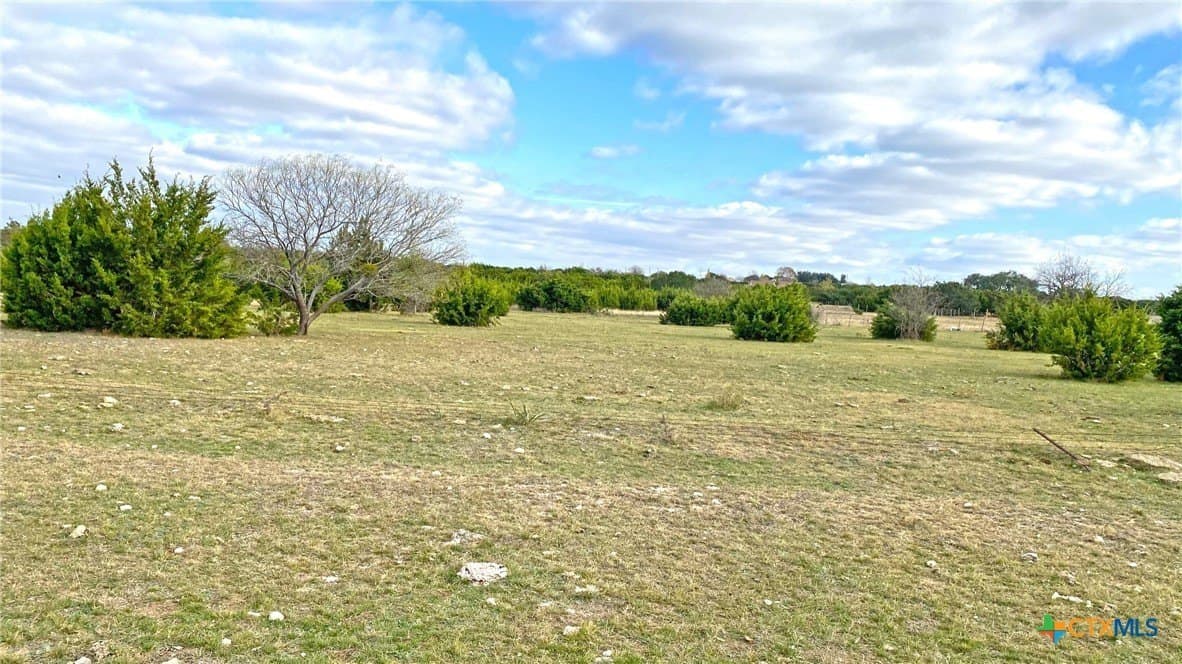 123.19 acres in Coryell County - photo 11