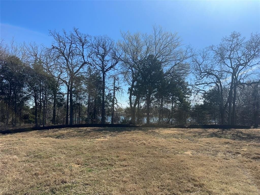0.47 acres in Dallas County - photo 4