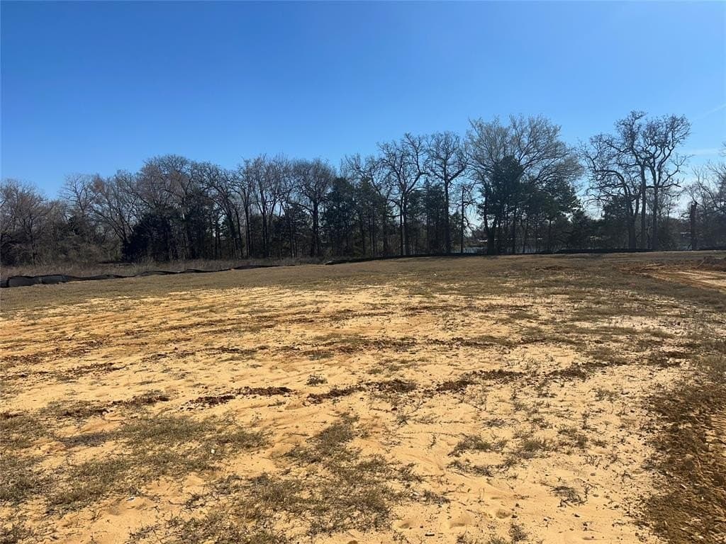 0.47 acres in Dallas County - photo 3
