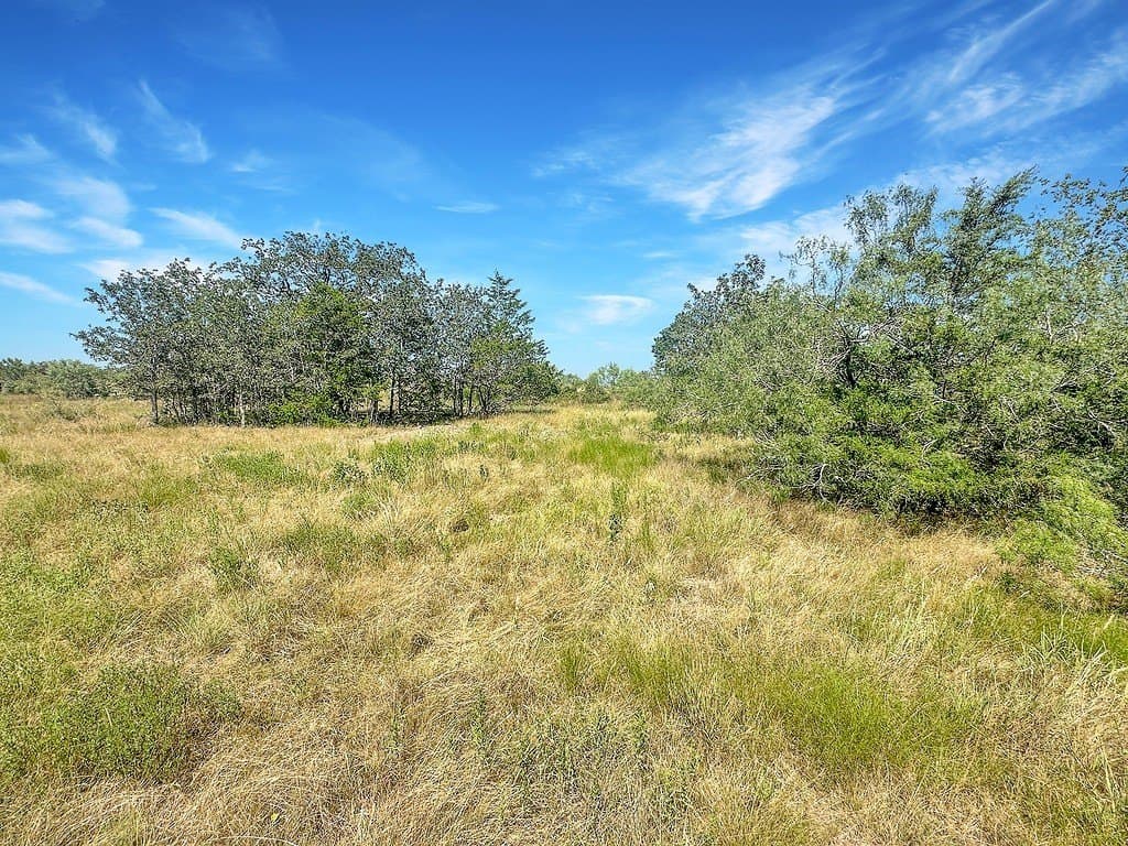45.95 acres in Fayette County - photo 8