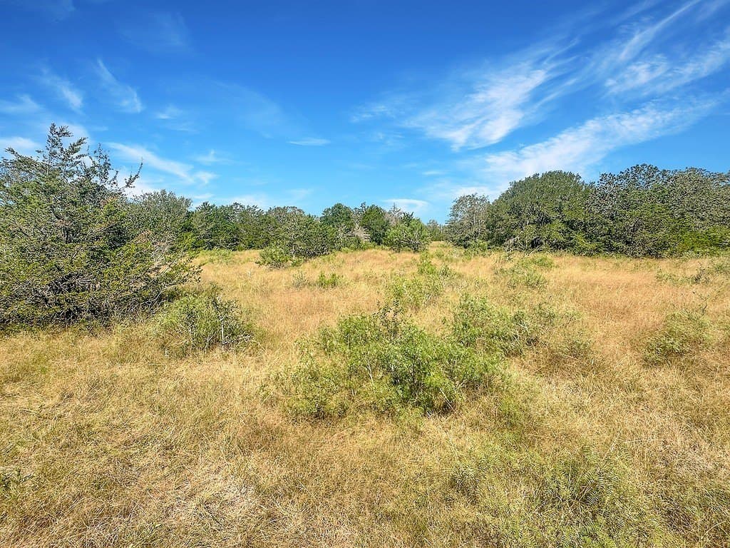 45.95 acres in Fayette County - photo 16