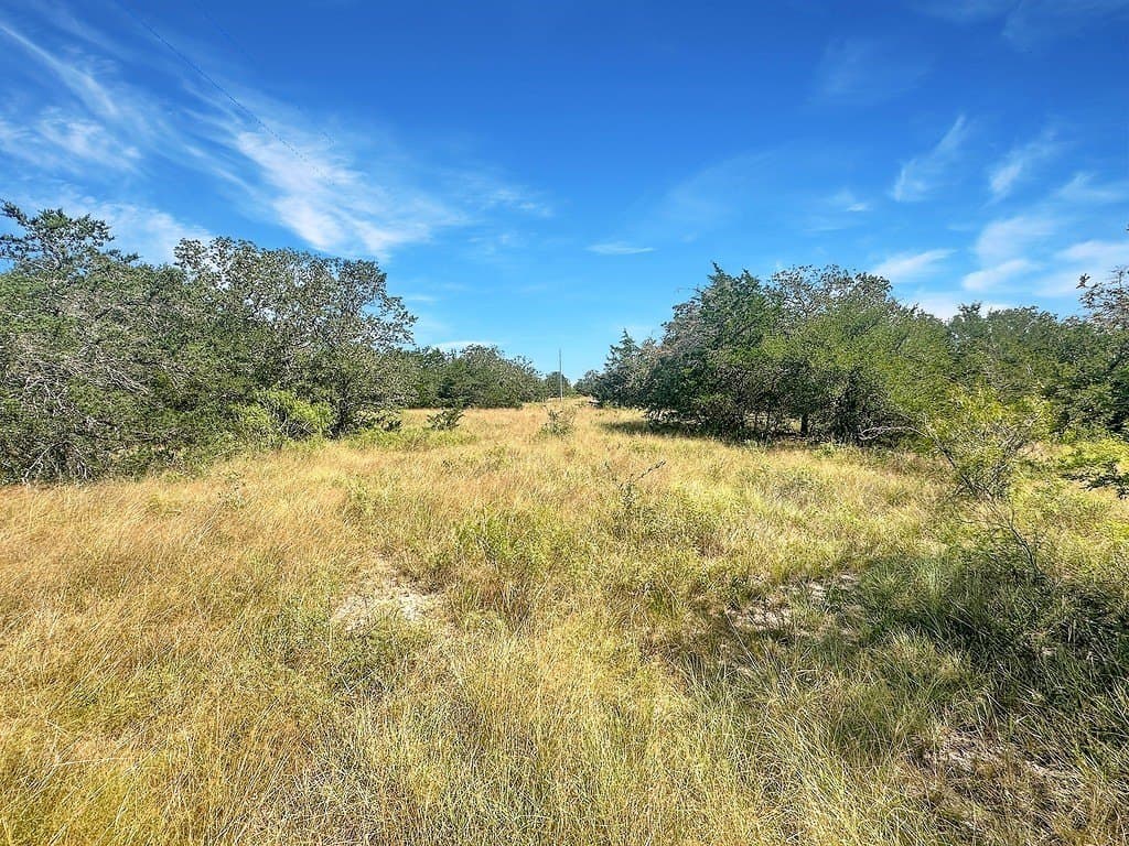 45.95 acres in Fayette County - photo 17
