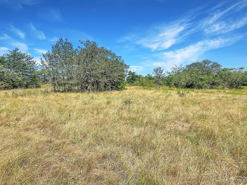 45.95 acres in Fayette County - photo 7