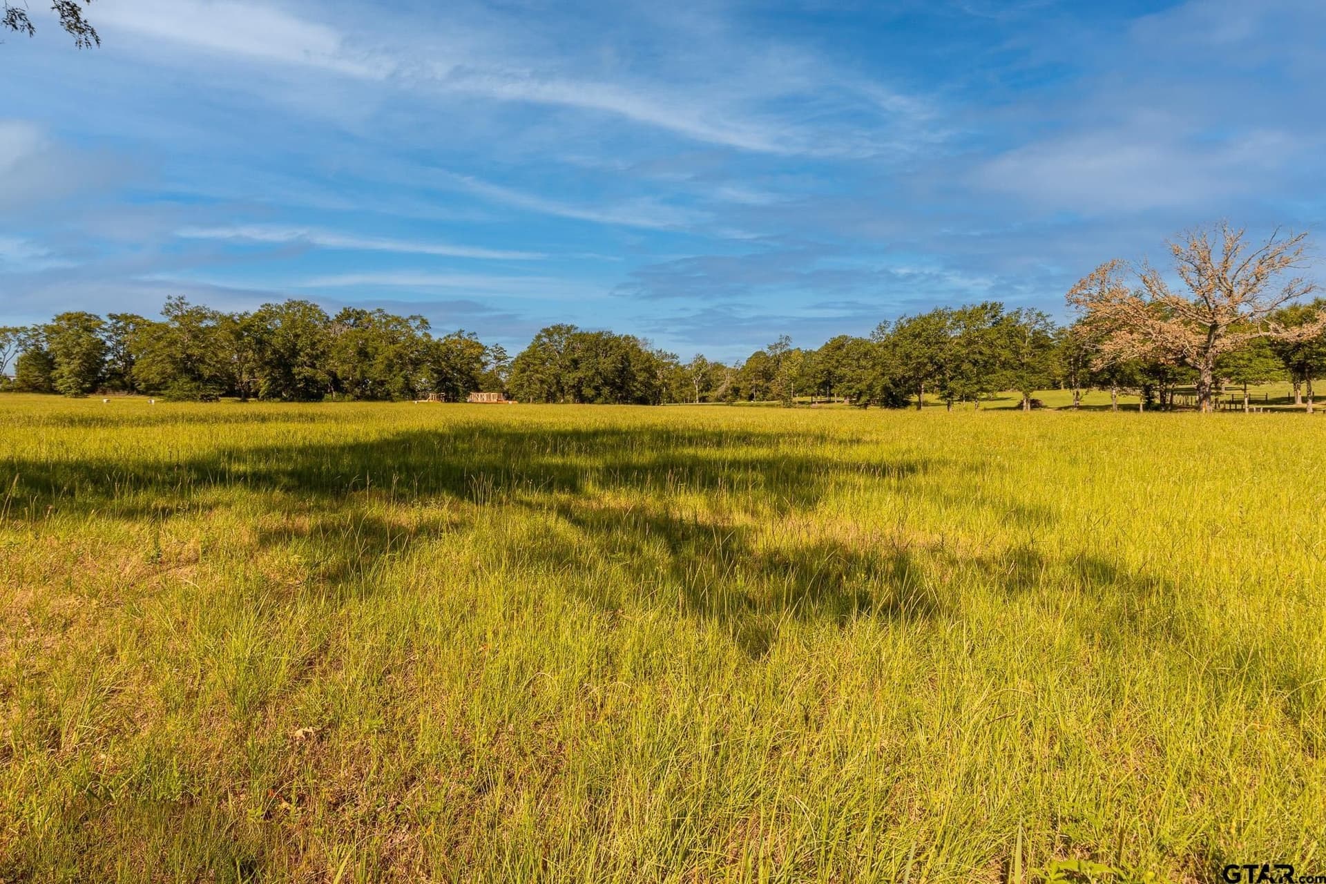 1.59 acres in Smith County - photo 8