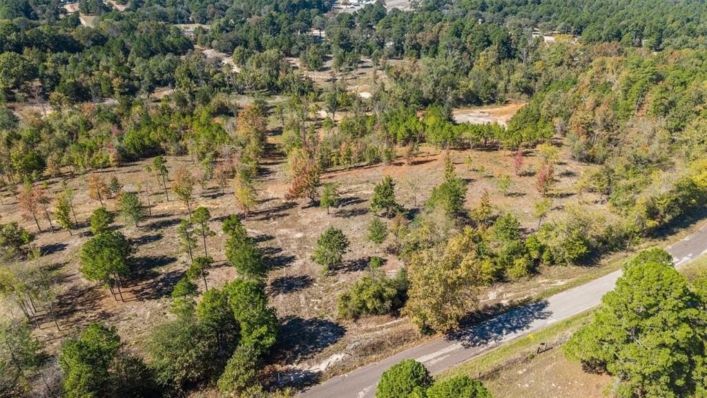 0.81 acres in Smith County - photo 10