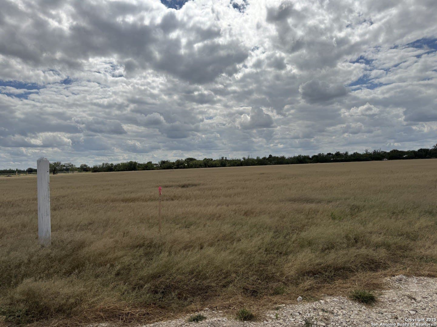 6 acres in Zavala County - photo 4