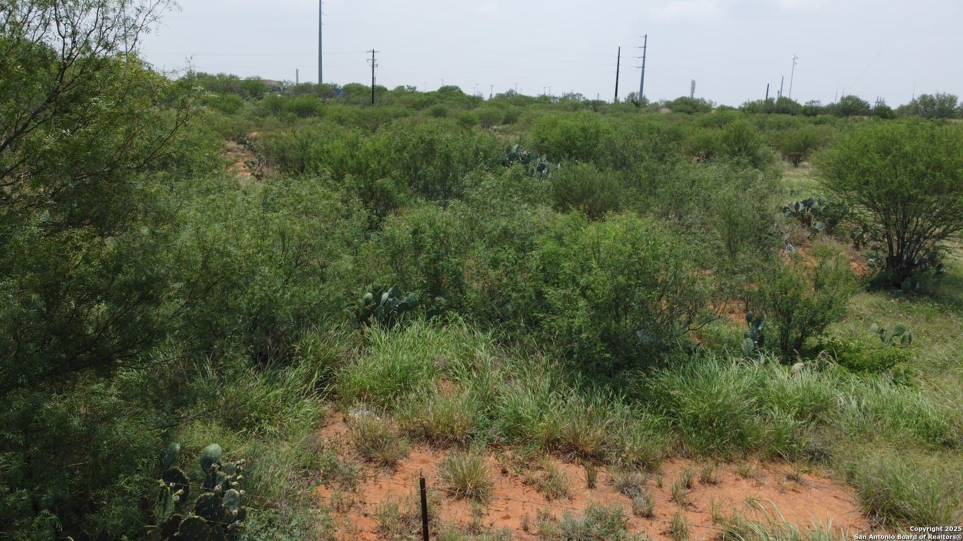 27.13 acres in La Salle County - photo 6