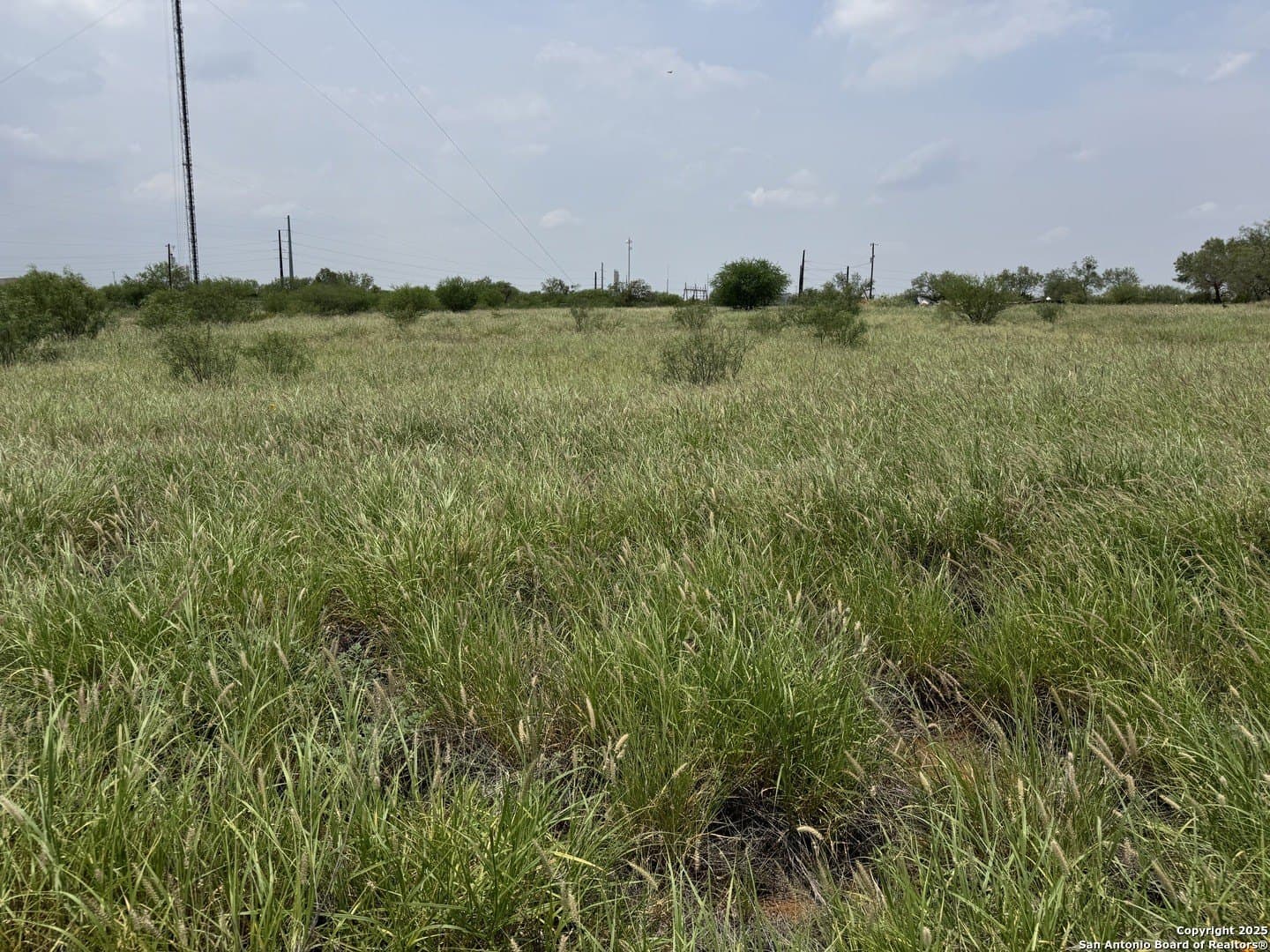 27.13 acres in La Salle County - photo 8