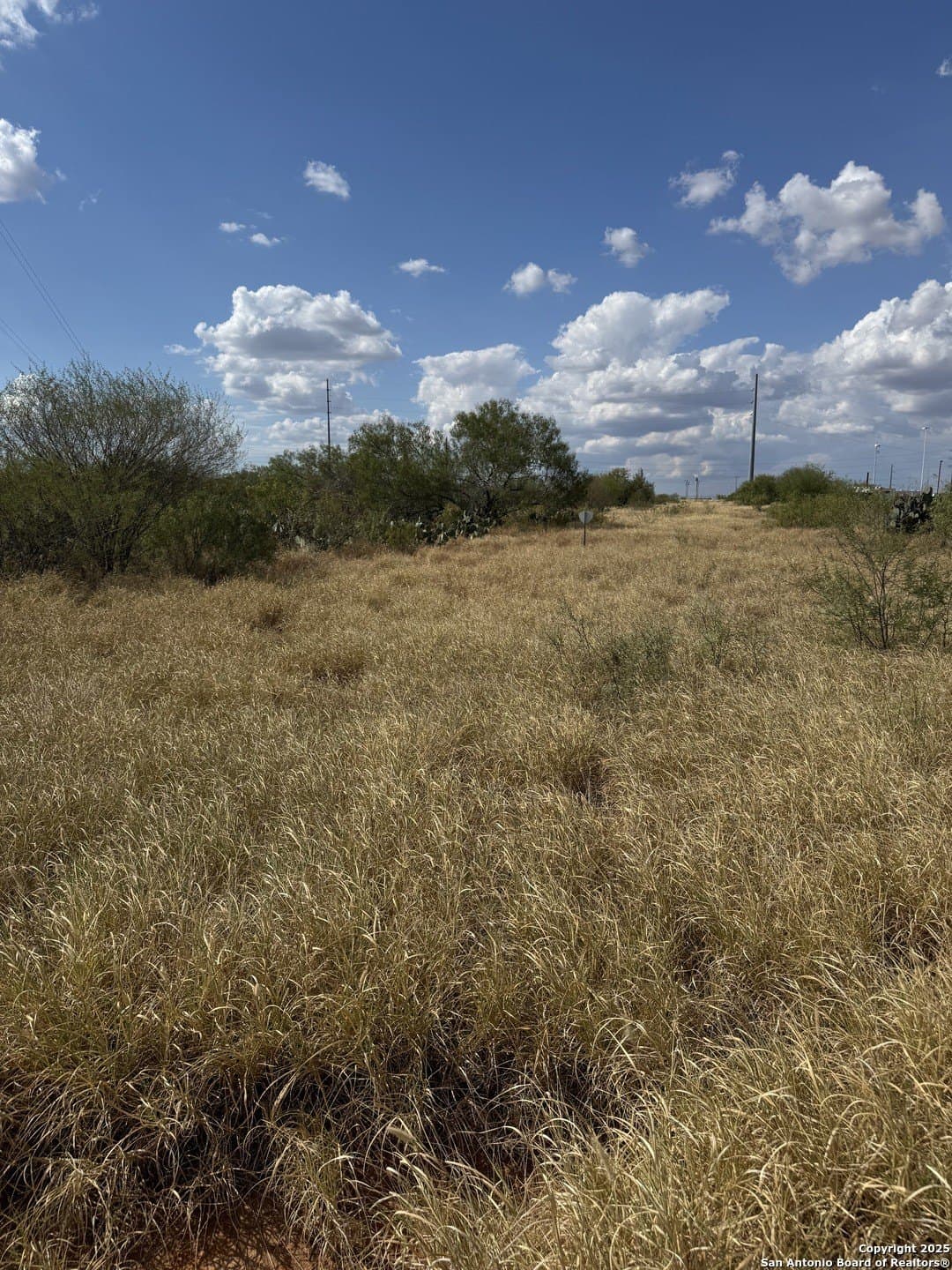 27.13 acres in La Salle County - photo 2