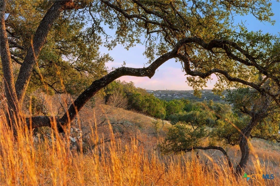 43.17 acres in Travis County - photo 38
