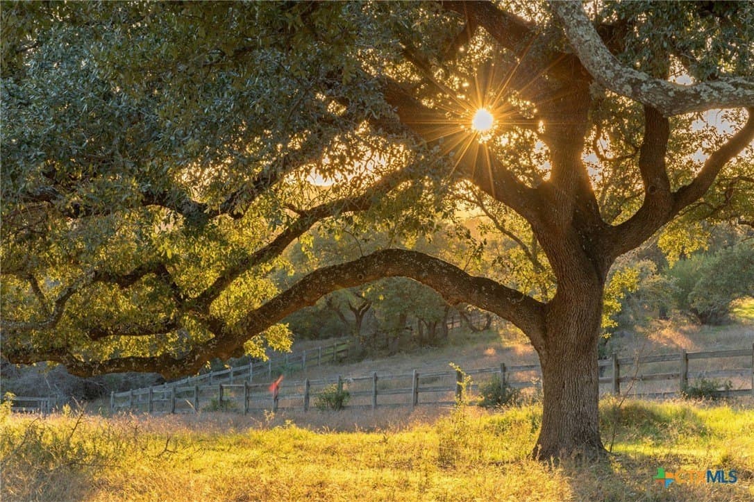 43.17 acres in Travis County - photo 9