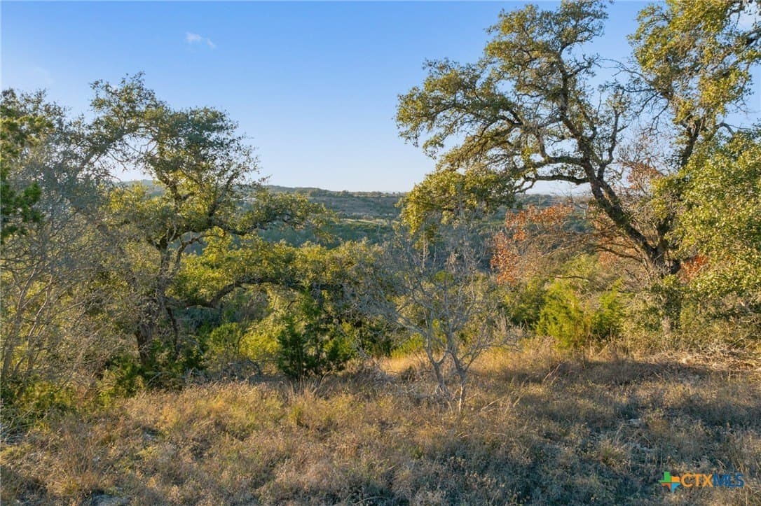 43.17 acres in Travis County - photo 29