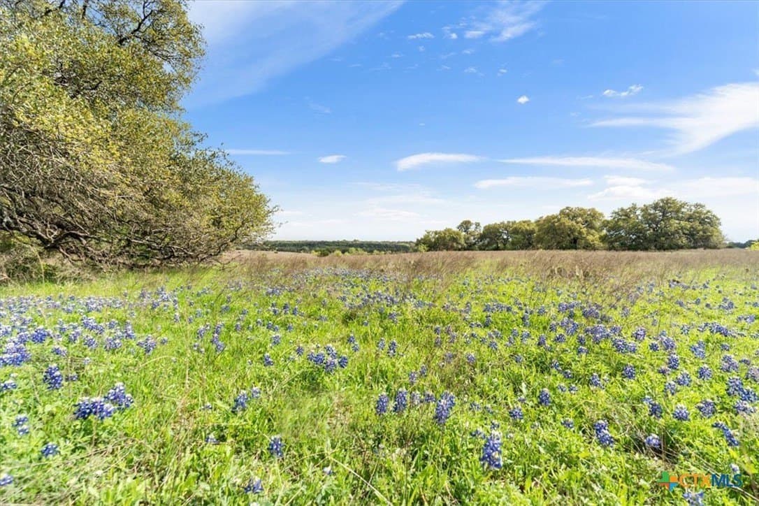 252.78 acres in McLennan County - photo 28