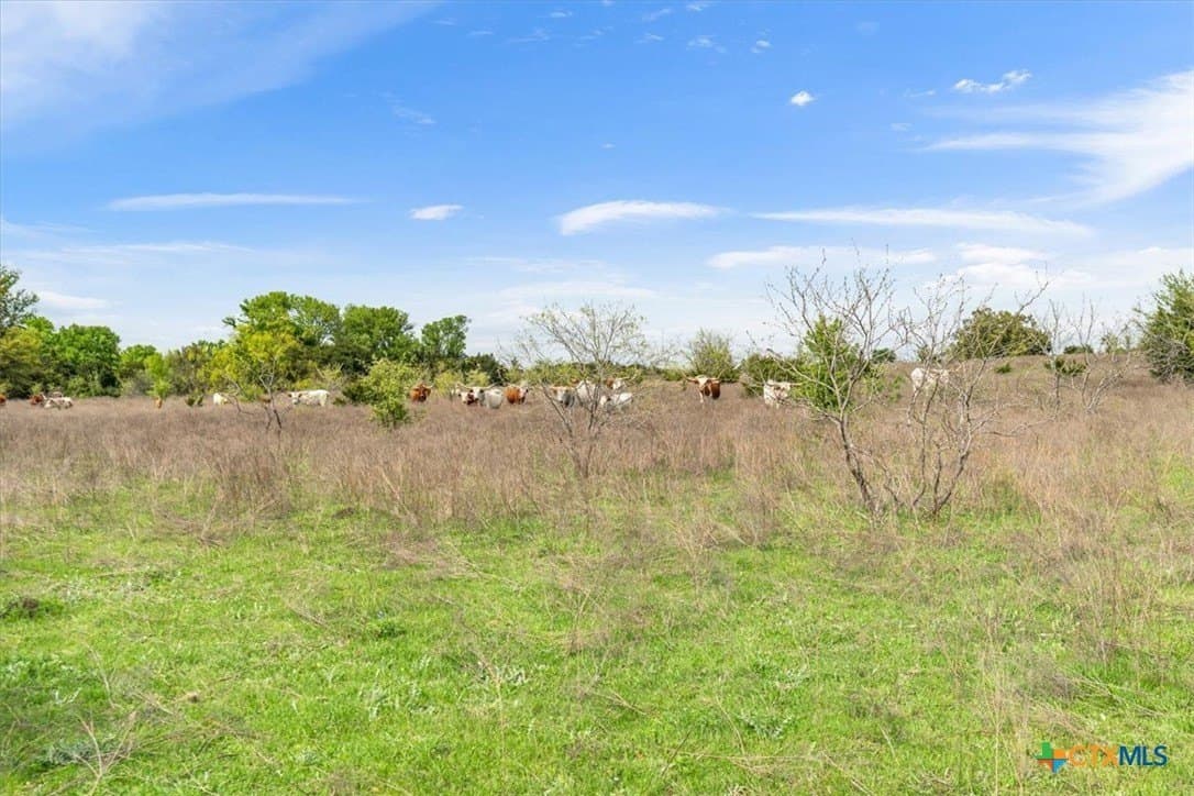 252.78 acres in McLennan County - photo 32