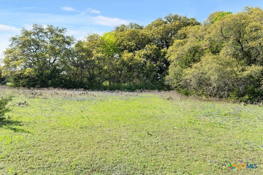 252.78 acres in McLennan County - photo 16