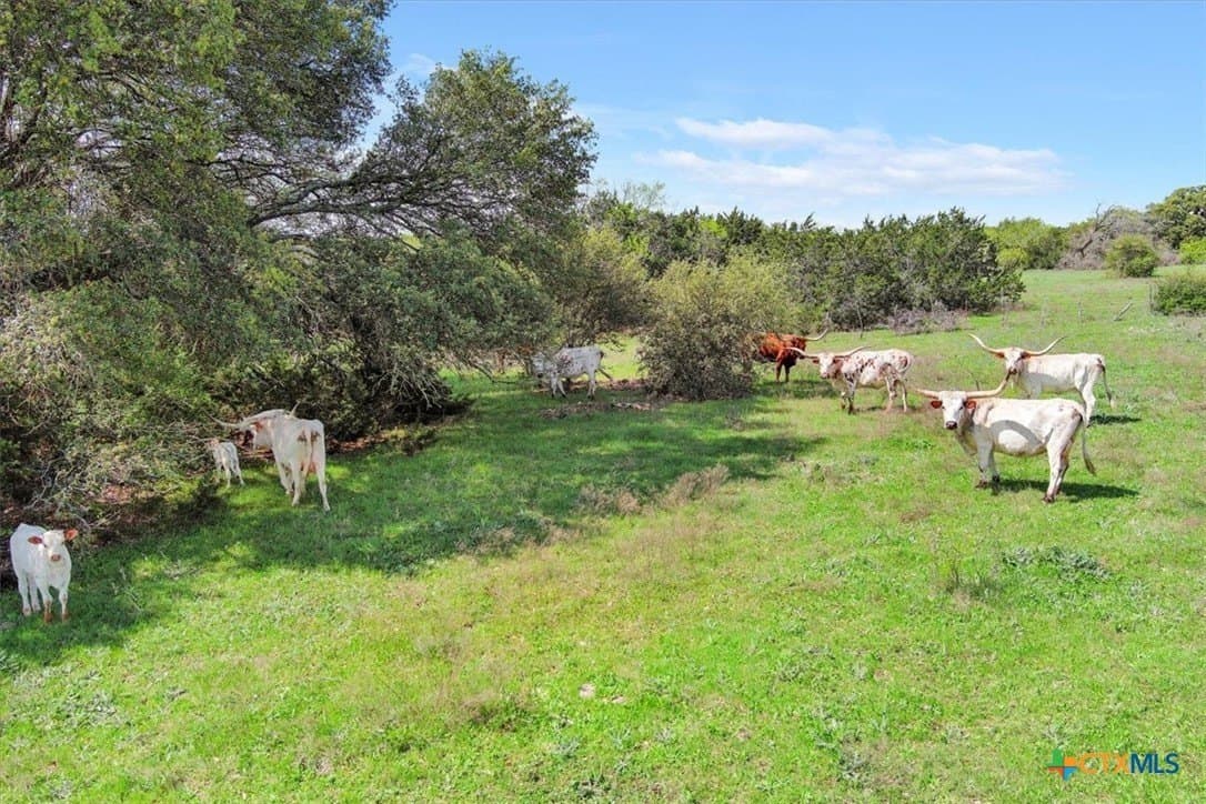 252.78 acres in McLennan County - photo 13