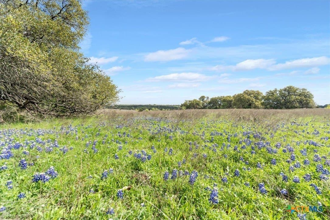 252.78 acres in McLennan County - photo 14
