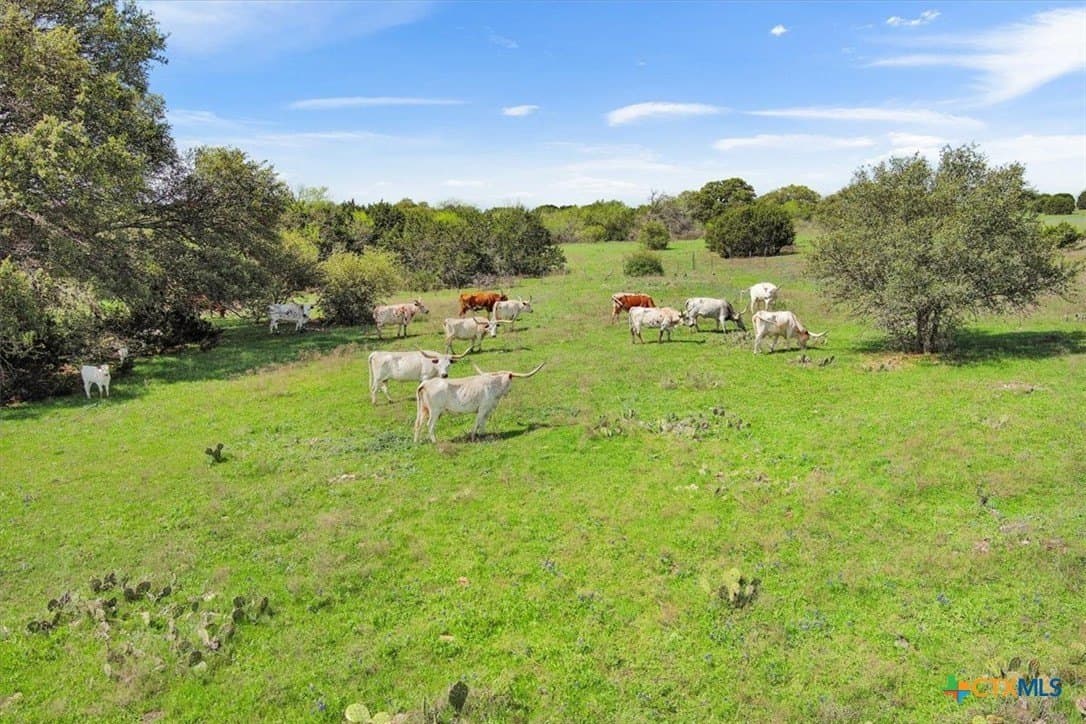 252.78 acres in McLennan County - photo 34