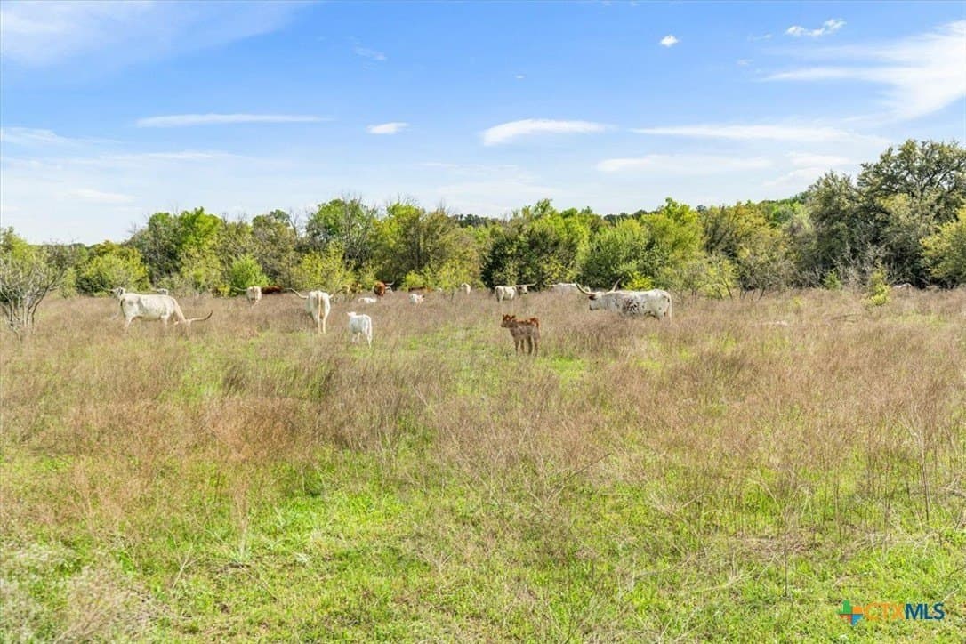 252.78 acres in McLennan County - photo 33
