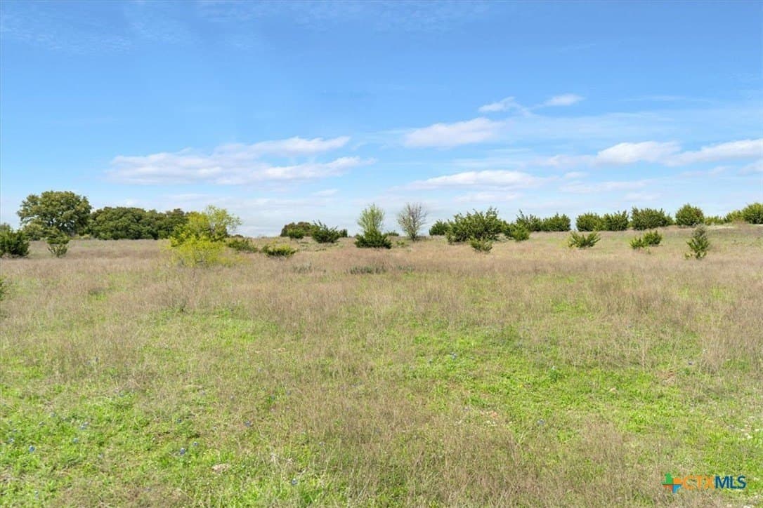 252.78 acres in McLennan County - photo 11