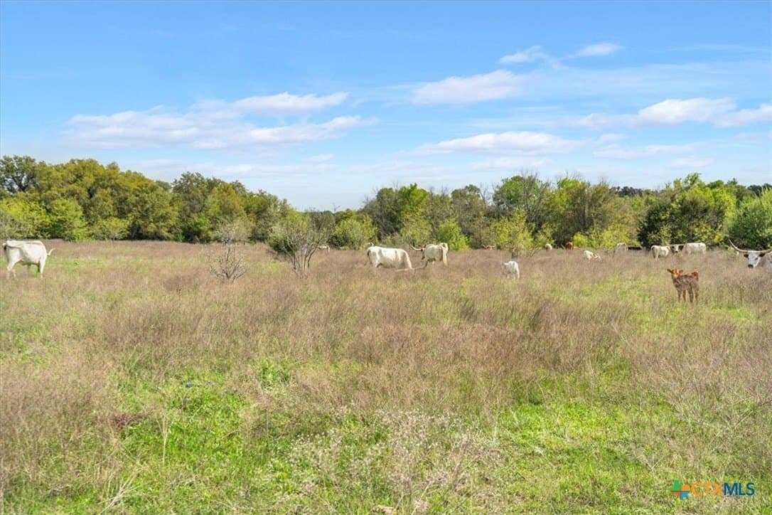 252.78 acres in McLennan County - photo 12