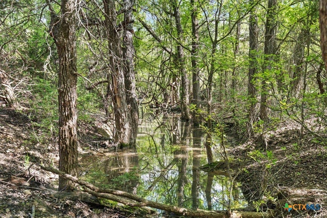 252.78 acres in McLennan County - photo 18