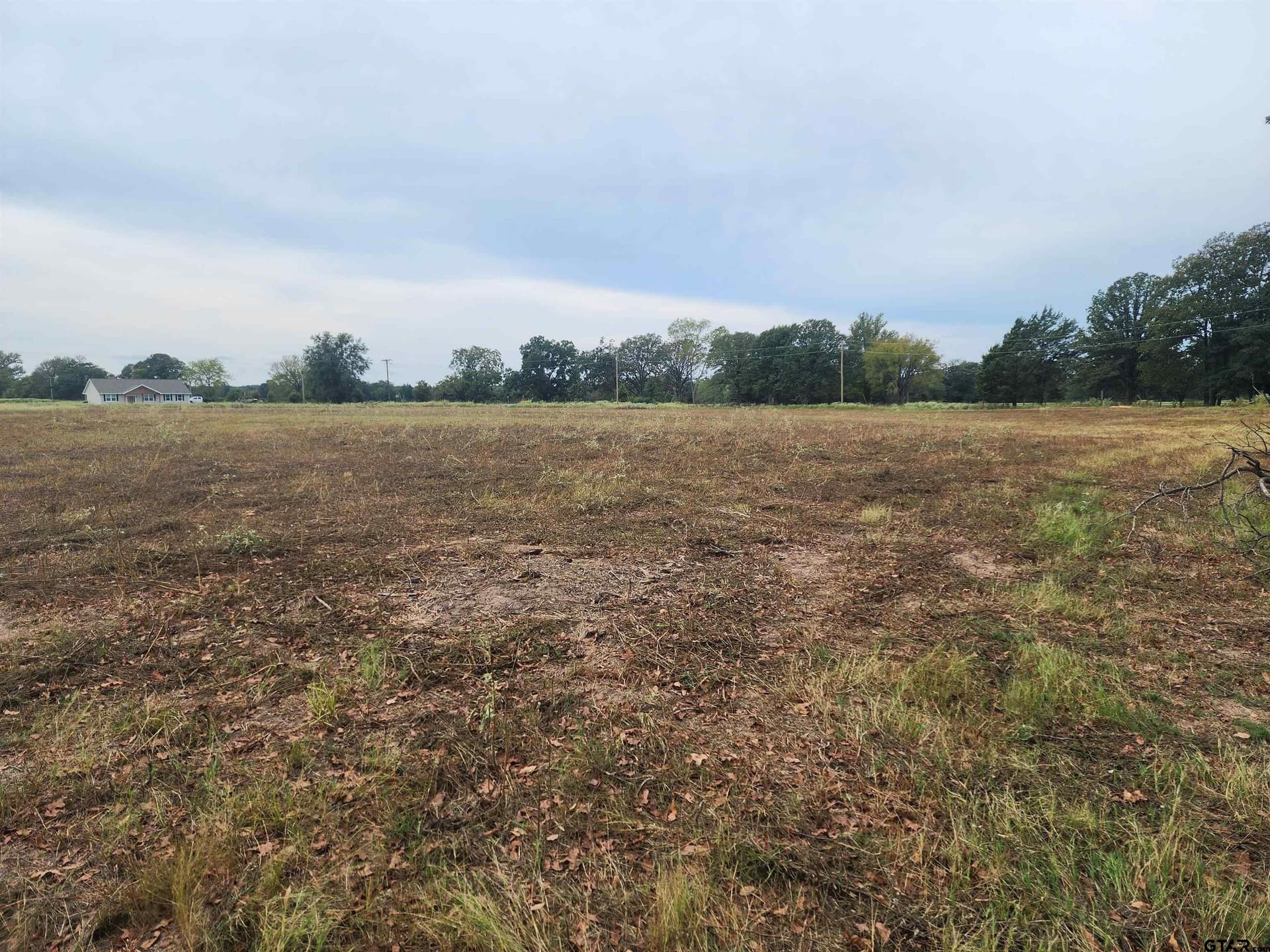 1 acres in Camp County - photo 5