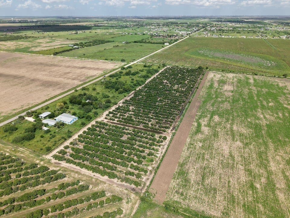 13.13 acres in Hidalgo County - photo 4