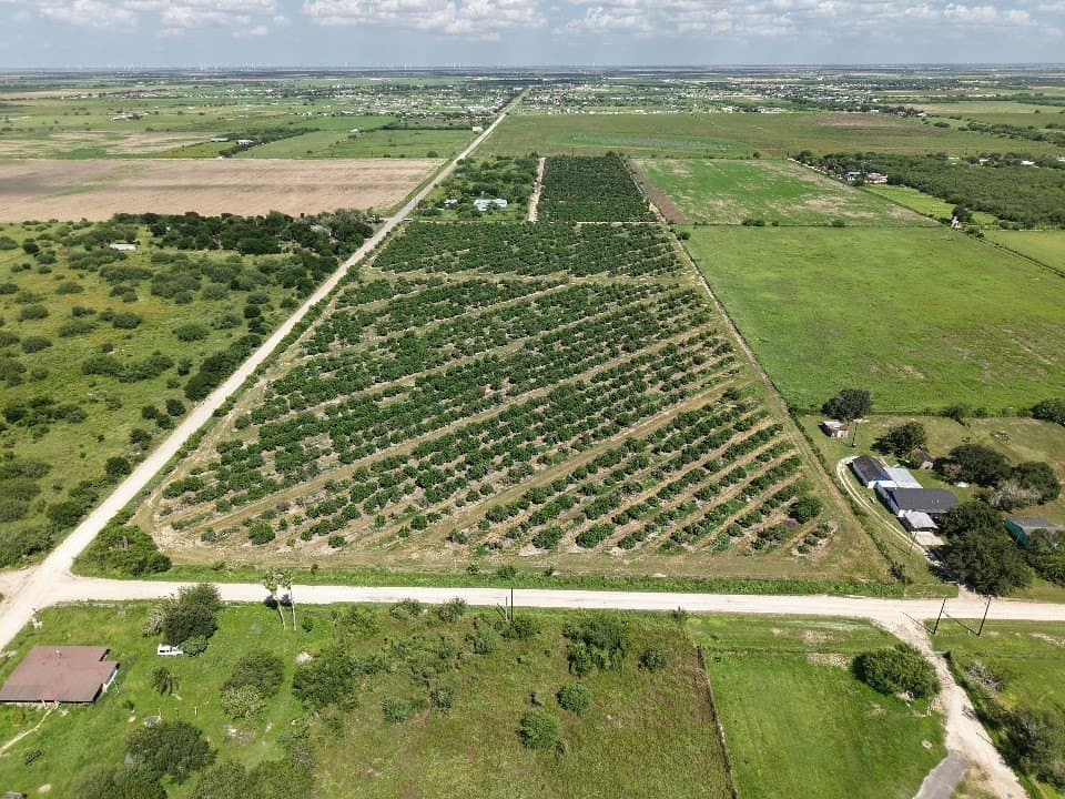 13.13 acres in Hidalgo County - photo 5