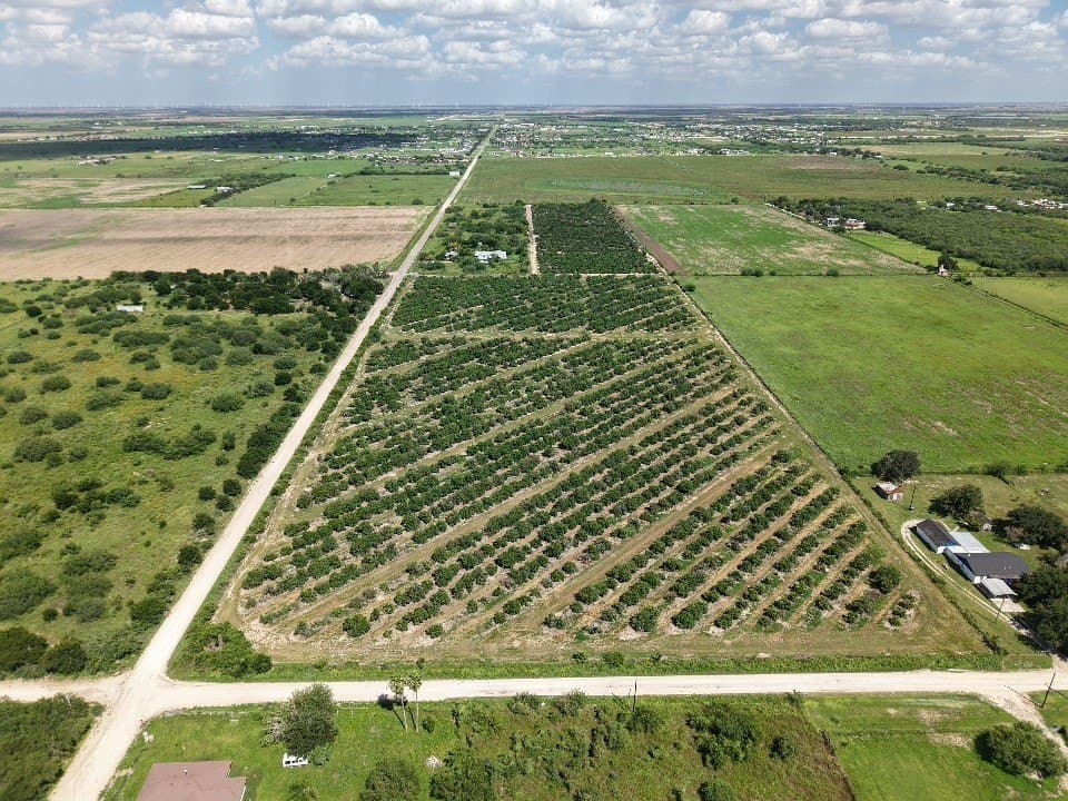 13.13 acres in Hidalgo County - photo 2