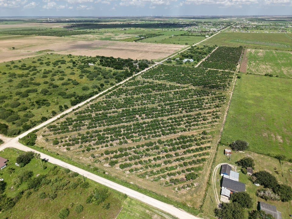 13.13 acres in Hidalgo County - photo 3