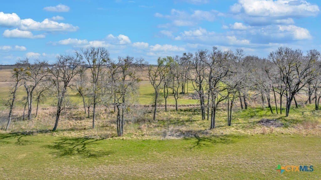 5.17 acres in Bell County - photo 7