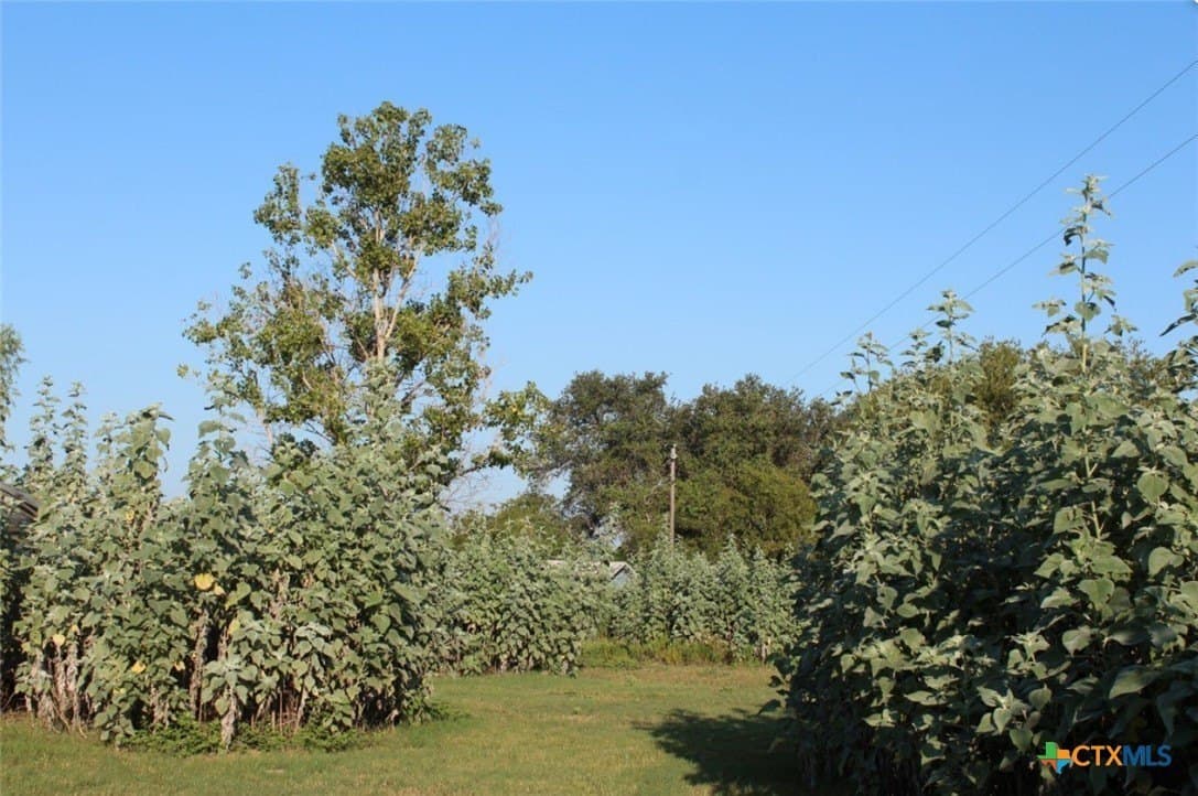 1 acres in Gonzales County - photo 6