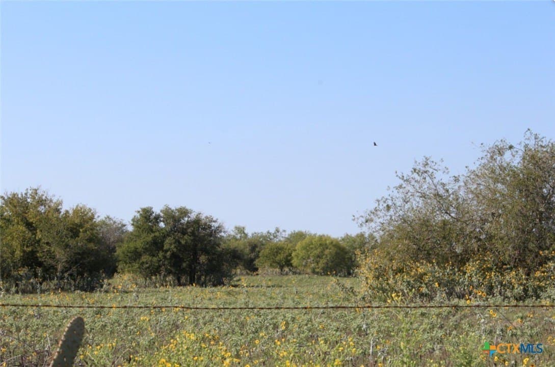 1 acres in Gonzales County - photo 12