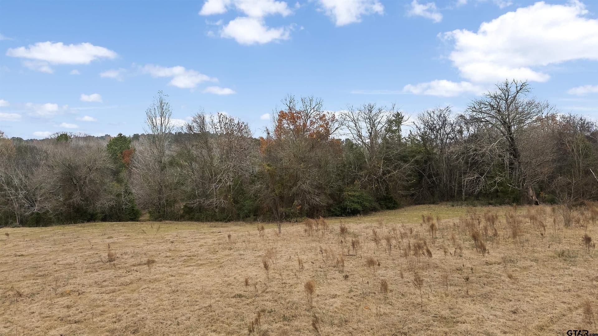 92.23 acres in Cherokee County - photo 39