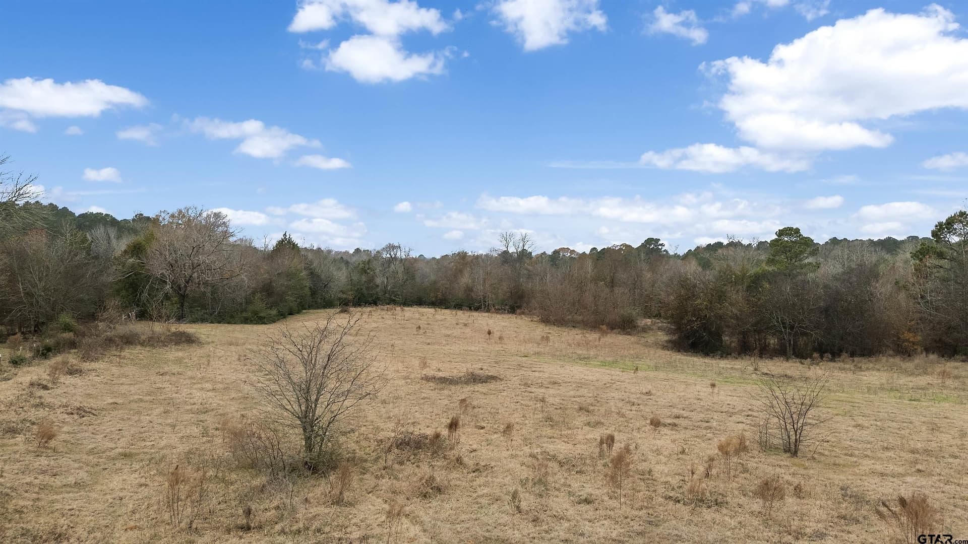 92.23 acres in Cherokee County - photo 40