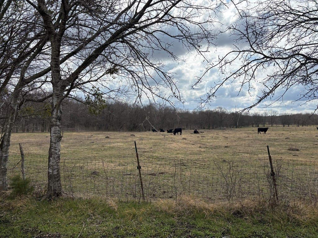 6.64 acres in Henderson County - photo 2