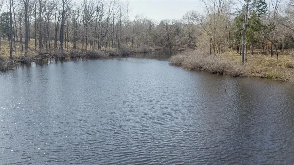 92 acres in Van Zandt County - photo 7