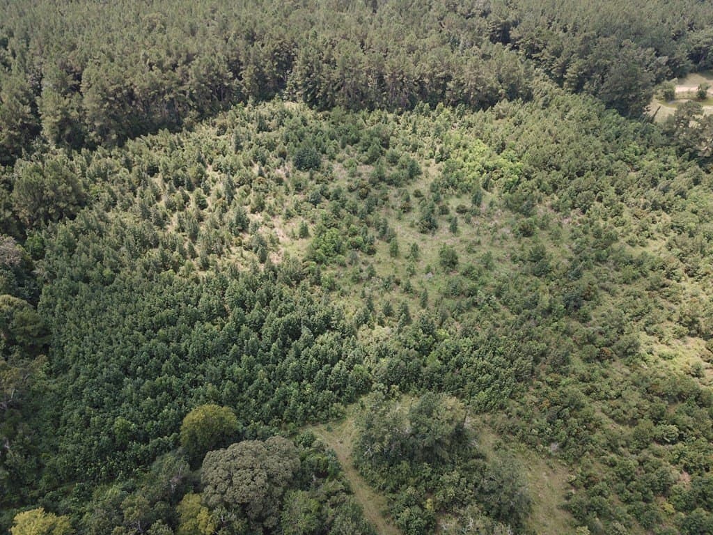 20 acres in Texas County - photo 8