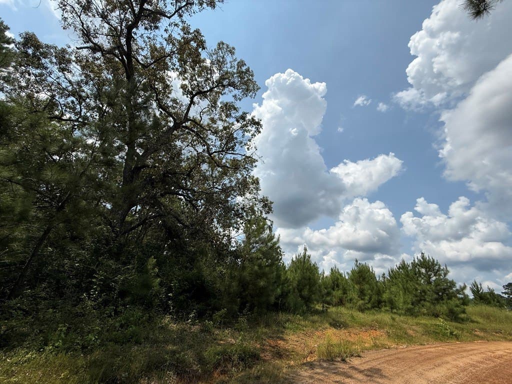 20 acres in Texas County - photo 2