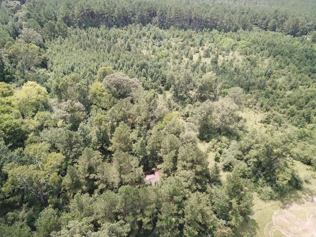 2800 County Road 441