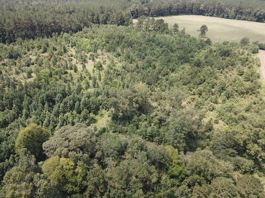 20 acres in Texas County - photo 3