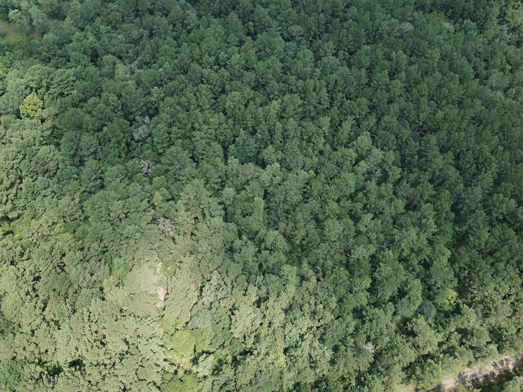 20 acres in Texas County - photo 6