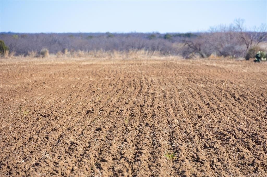 49.82 acres in Coleman County - photo 7