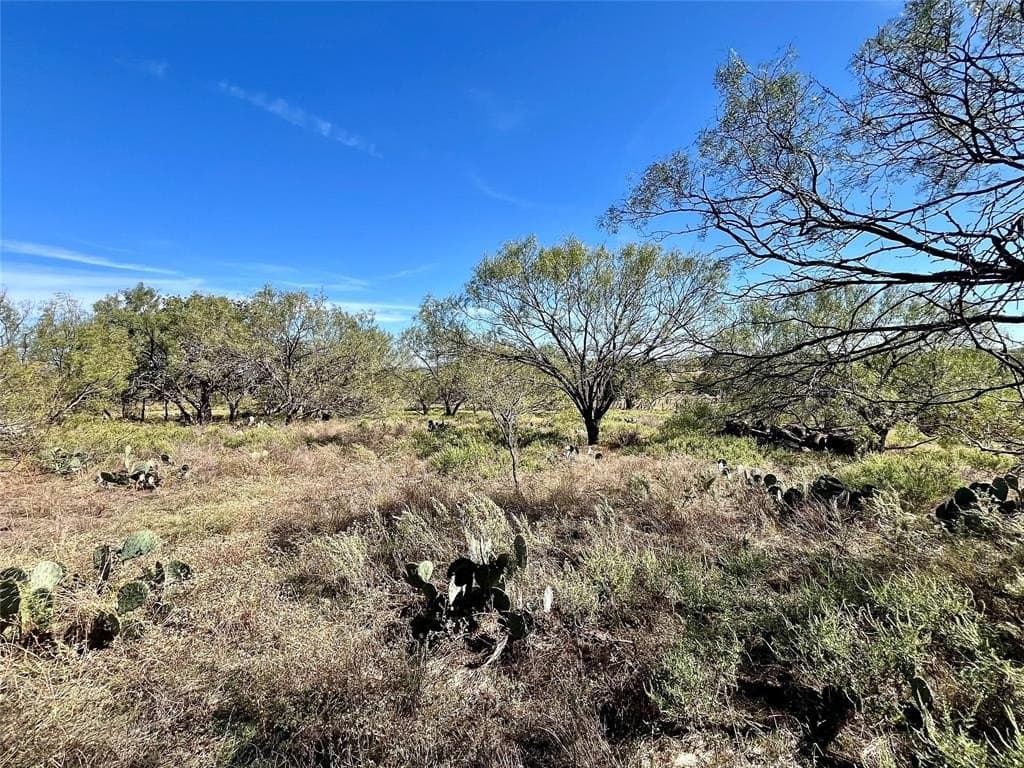 160 acres in Jack County - photo 9