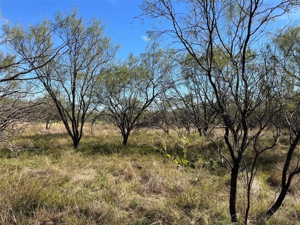 160 acres in Jack County - photo 26