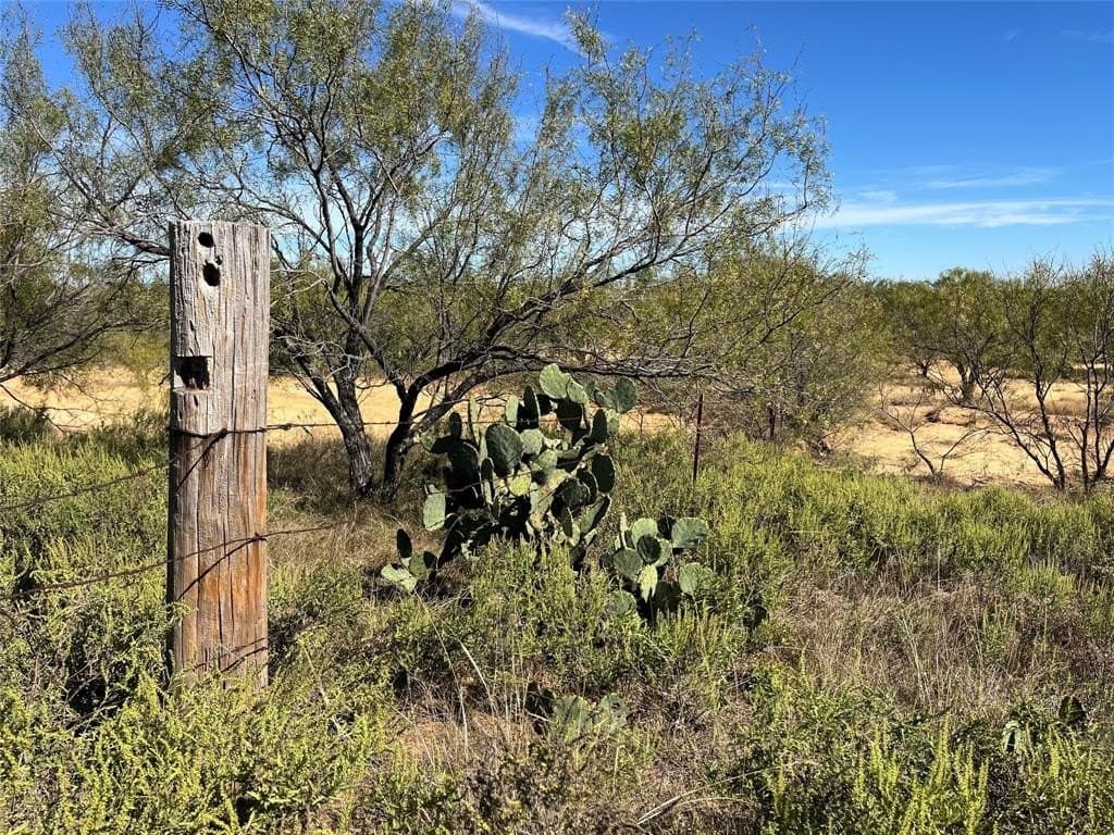 160 acres in Jack County - photo 16