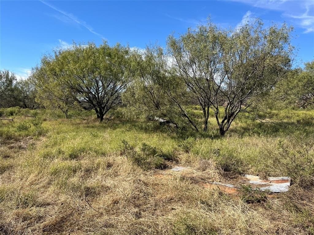 160 acres in Jack County - photo 11