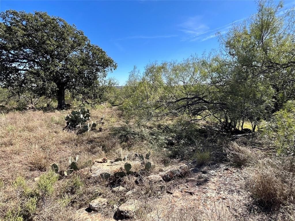 160 acres in Jack County - photo 4